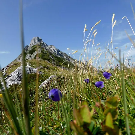 Haus Weinacht Pensión Grobming