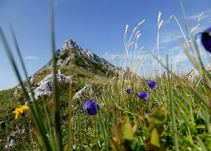 Haus Weinacht Gasthuis Grobming